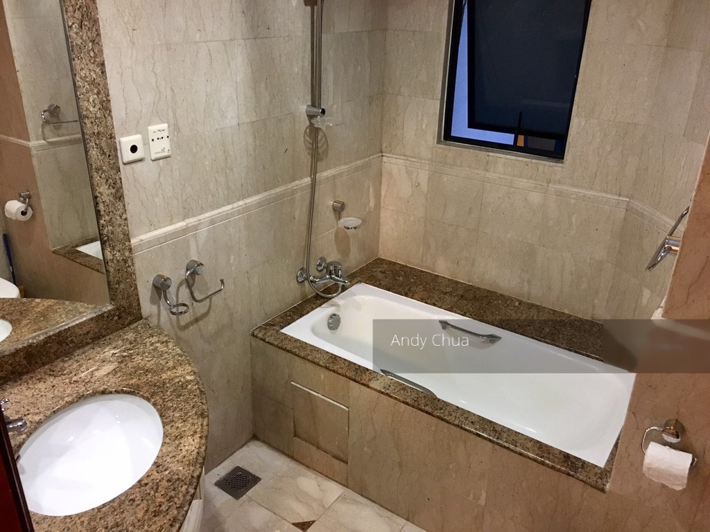 Valley Park (D10), Condominium #156688072